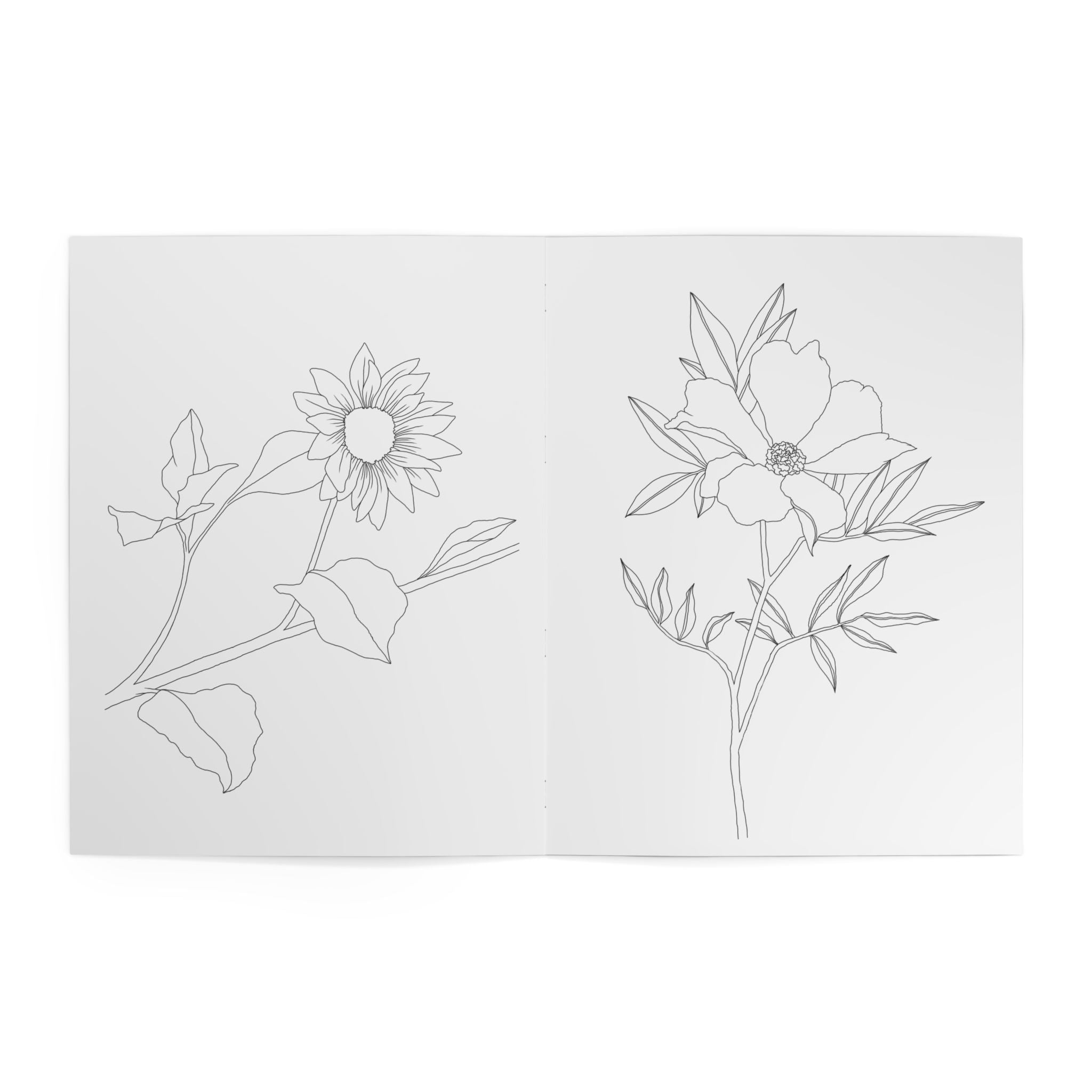 Line drawings of flowers on a white background