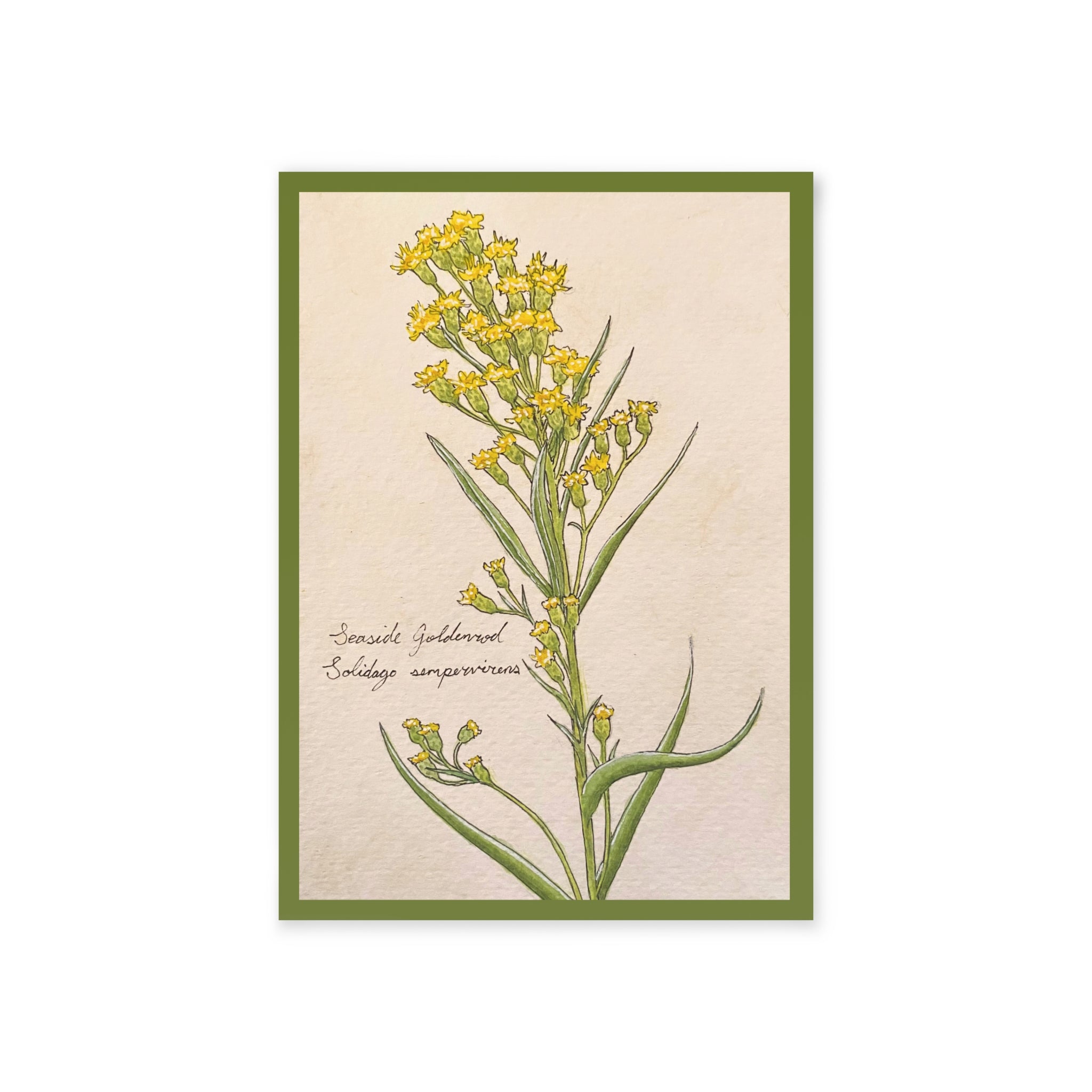Greeting card with botanical illustration of a plant with yellow flowers on a beige background