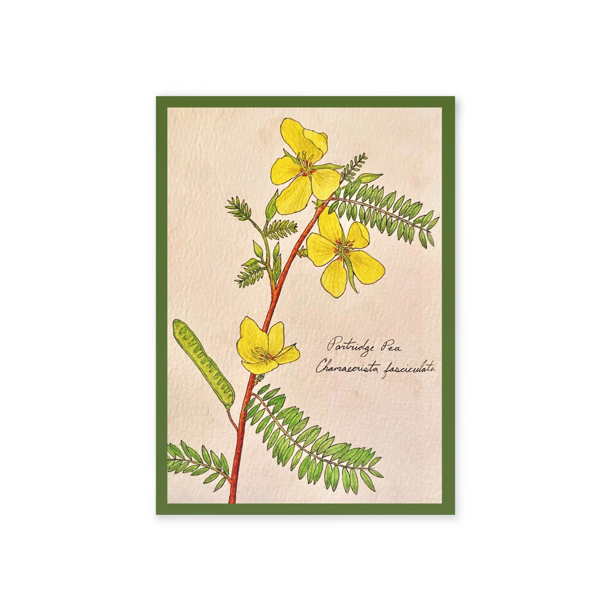 Greeting card with a botanical illustration of yellow flowers