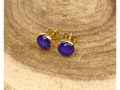 A pair of round gold stud earrings containing blue flower petals, displayed on a textured wood slice background.